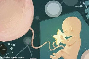 供卵孕妈带怀服务机构